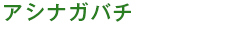 アシナガバチ