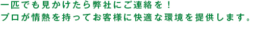 一匹でも見かけたら弊社にご連絡を！プロが情熱を持ってお客様に快適な環境を提供します。