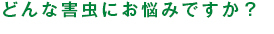 どんな害虫にお悩みですか？